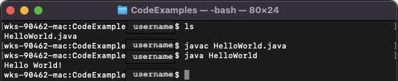Command line with javac and java executed